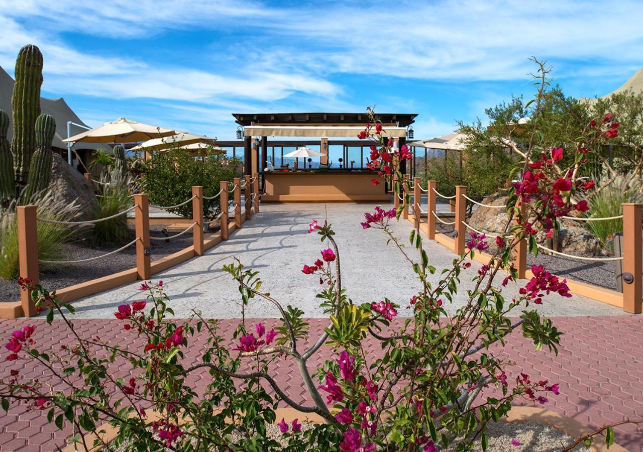 Villa Del Palmar At The Islands Of Loreto Loreto  Exterior photo